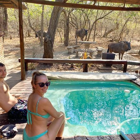 Hakuna Matata Marloth Park Kültér fotó