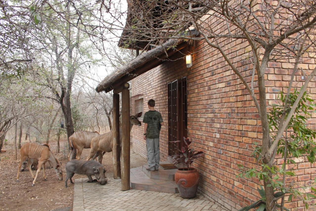 Hakuna Matata Marloth Park Kültér fotó